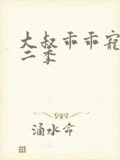 大叔乖乖宠我第二季