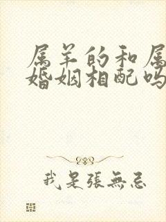 属羊的和属狗的婚姻相配吗