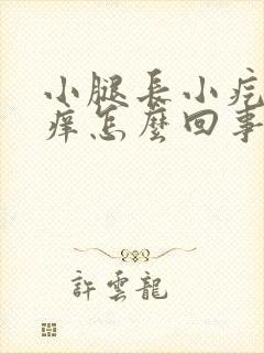 小腿长小疙瘩很痒怎么回事