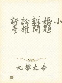 诉讼离婚小孩抚养权问题