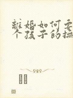 离婚如何要到两个孩子的抚养权