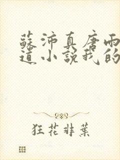 苏沛真唐雨菲林道小说我的岳母