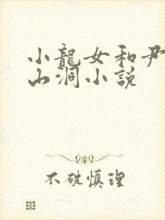 小龙女和尹志平山洞小说封面