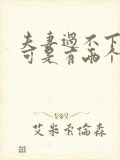 夫妻过不下去了可是有两个孩子怎么办封面