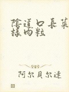 阴道口长菜花一样肉粒封面