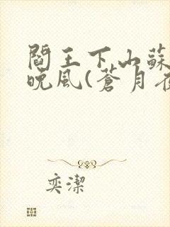 阎王下山苏文陆晚风(苍月夜)章节列表