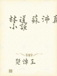 林道 苏沛真 小说封面