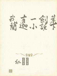 我有一剑叶观纳兰迦小说下载