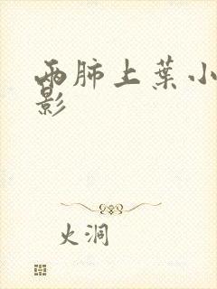 两肺上叶小结节影封面