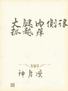 大腿内侧很痒越抓越痒