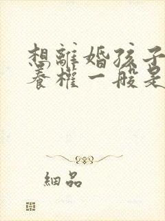 想离婚孩子的抚养权一般是判给谁