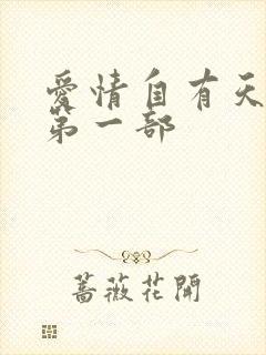 爱情自有天意 第一部