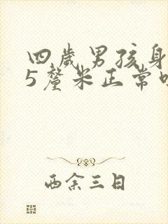 四岁男孩身高95厘米正常吗