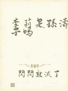 李莉是孙涛的妻子吗