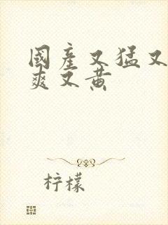 国产又猛又粗又爽又黄