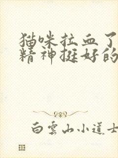 猫咪拉血了但是精神挺好的