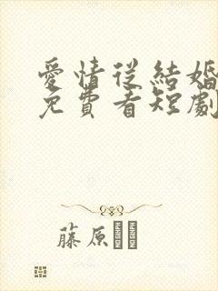 爱情从结婚开始免费看短剧封面