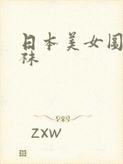 日本美女图片丝袜