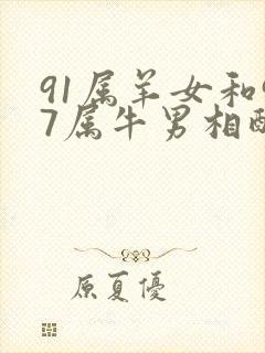 91属羊女和97属牛男相配吗