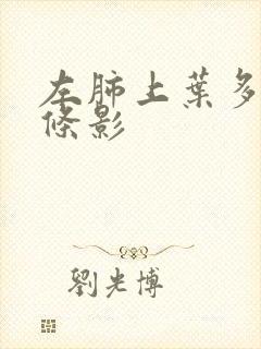 左肺上叶多发索条影