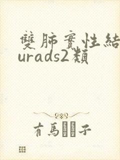 双肺实性结节lurads2类封面