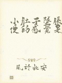 小肚子坠胀想大便的感觉是怎么回事封面