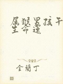 属猴男孩午时出生命运