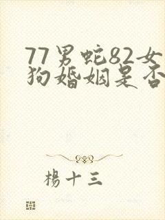 77男蛇82女狗婚姻是否相配