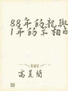 88年的龙与91年的羊相配吗