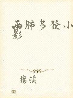 两肺多发小结节影封面