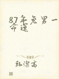 87年兔男一生命运
