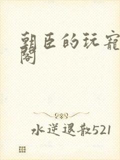 朝臣的玩宠笔趣阁