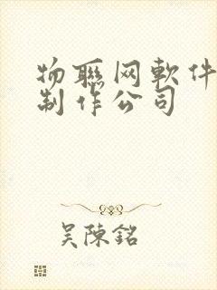 物联网软件开发制作公司