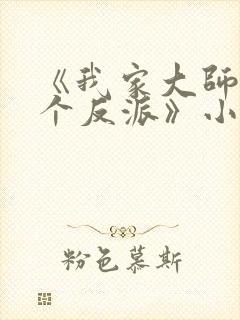 《我家大师兄是个反派》小说