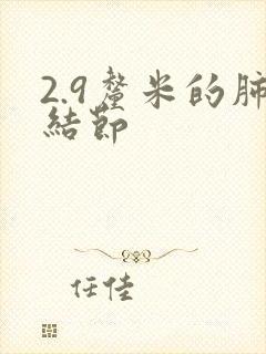 2.9厘米的肺结节