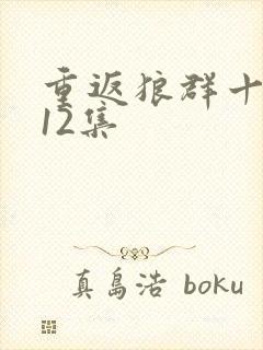 重返狼群十周年12集