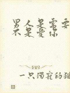 男人是需要你而不是爱你