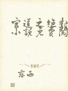 官道之绝对权力小说免费阅读免费