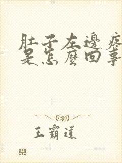 肚子左边疼又吐是怎么回事