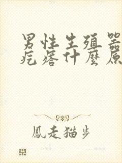 男性生殖器出现疙瘩什么原因