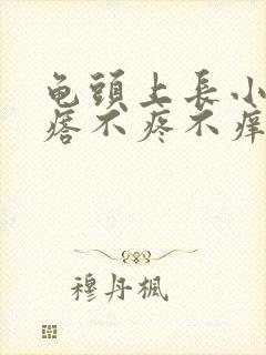 龟头上长小肉疙瘩不疼不痒