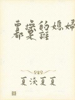 曹操的媳妇分别都是谁