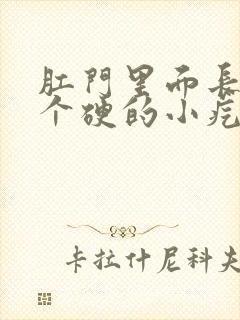 肛门里面长了一个硬的小疙瘩封面