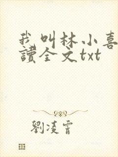 我叫林小喜全阅读全文txt