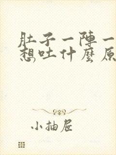 肚子一阵一阵痛想吐什么原因