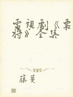 电视剧《粟裕大将》全集