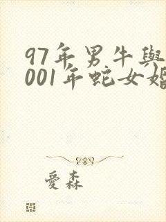 97年男牛与2001年蛇女婚姻