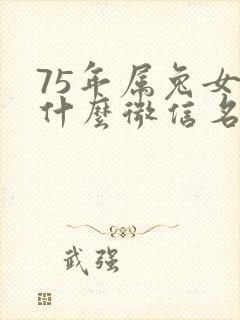 75年属兔女用什么微信名旺财旺运?封面