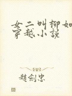 女二叫柳如烟的穿越小说封面