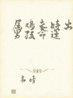 属鸡未时出生的男孩命运